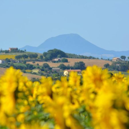 Vila Casale Dei Cinque Colli Ostra Exteriér fotografie