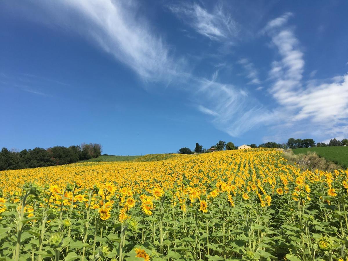 Vila Casale Dei Cinque Colli Ostra Exteriér fotografie