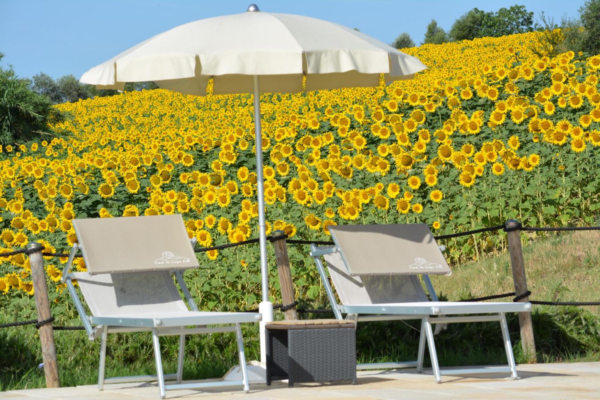 Vila Casale Dei Cinque Colli Ostra Exteriér fotografie